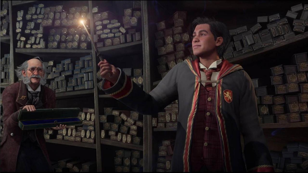 What kind of DLC do you wish for for Hogwarts legacy?