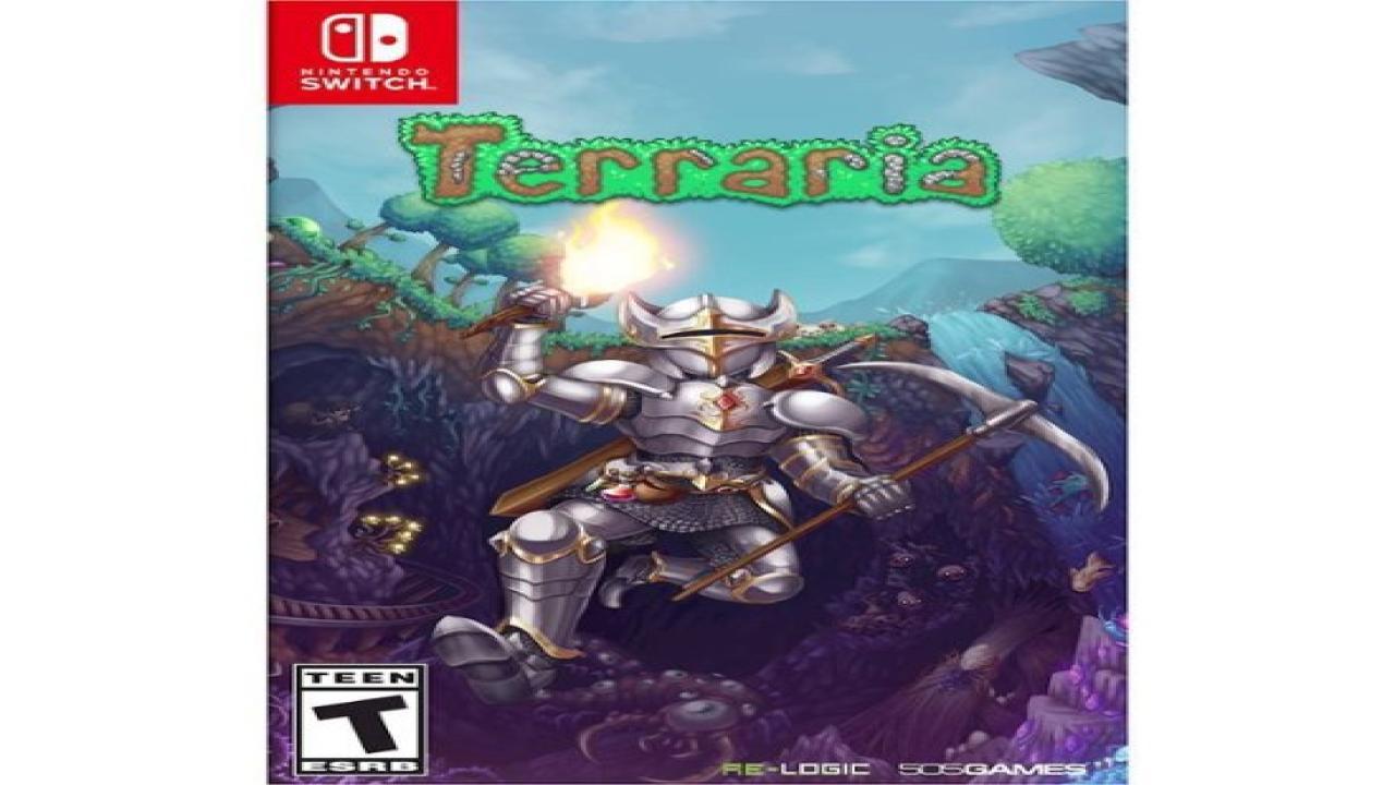 Does Terraria on Nintendo Switch support 4 player split-screen multiplayer?