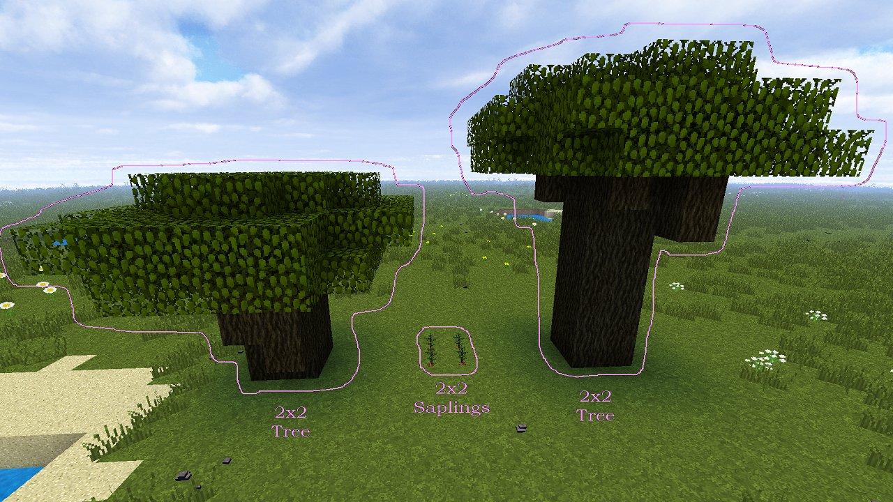 Whats the most efficient way to acquire Minecraft Dark Oak Saplings?